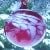 Ornaments.com