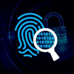 Internet Fraud Online Scam Investigator - Cyber Investigator